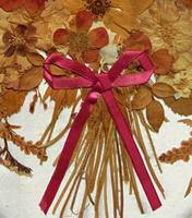 19th Century Victorian Floral Still Life of Pressed Flowers Picture (5 of 12) 19th Century Victorian Floral Still Life of Pressed Flowers Picture (5 of 12)