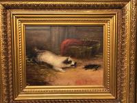 Pair of Victorian 19th Century Oil Paintings Terrier Dogs Ratting Signed J Langlois (6 of 35) Pair of Victorian 19th Century Oil Paintings Terrier Dogs Ratting Signed J Langlois (6 of 35)