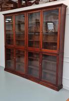Large Antique Museum Cabinet c.1900 (5 of 7) Large Antique Museum Cabinet c.1900 (5 of 7)