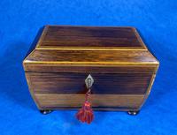 Regency Rosewood Twin Section Tea Caddy (10 of 12) Regency Rosewood Twin Section Tea Caddy (10 of 12)