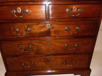 Small George III Cuban Mahogany Chest of Drawers (6 of 8) Small George III Cuban Mahogany Chest of Drawers (6 of 8)