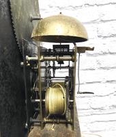 Painted Pine Cornish Longcase Clock (11 of 11) Painted Pine Cornish Longcase Clock (11 of 11)