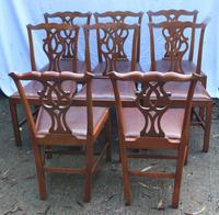 1900's Mahogany Set of 8 Georgian style Dining Chairs with Pop out Leather Seats (3 of 3) 1900's Mahogany Set of 8 Georgian style Dining Chairs with Pop out Leather Seats (3 of 3)