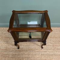 High Quality Victorian Antique Vitrine Display Cabinet (5 of 6) High Quality Victorian Antique Vitrine Display Cabinet (5 of 6)