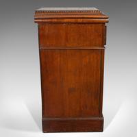Tall Antique Side Cabinet, English, Mahogany, Bedside, Nightstand, Regency, 1820 (7 of 12) Tall Antique Side Cabinet, English, Mahogany, Bedside, Nightstand, Regency, 1820 (7 of 12)