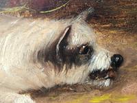 Pair of Victorian 19th Century Oil Paintings Terrier Dogs Ratting Signed J Langlois (21 of 35) Pair of Victorian 19th Century Oil Paintings Terrier Dogs Ratting Signed J Langlois (21 of 35)