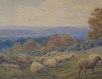 19th Century Watercolour Frederick Williamson Shepherd at Rest With His Flock (4 of 9) 19th Century Watercolour Frederick Williamson Shepherd at Rest With His Flock (4 of 9)