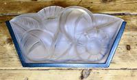 French Opaque Glass Wall Light Shade Signed Degue