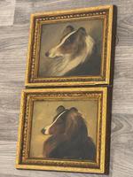 Pair of Scottish 19th Century Oil Paintings Rough Collie Dog Portraits After George Washington Brownlow (8 of 49) Pair of Scottish 19th Century Oil Paintings Rough Collie Dog Portraits After George Washington Brownlow (8 of 49)