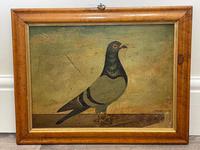 Decorative Sporting Early 20th Century Oil Canvas Painting English Racing Pigeon (2 of 35) Decorative Sporting Early 20th Century Oil Canvas Painting English Racing Pigeon (2 of 35)