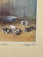 Item Additional Image