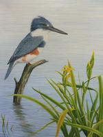 Oil on Canvas Study of a Kingfisher Listed Artist Geoffrey Campbell Black (10 of 10) Oil on Canvas Study of a Kingfisher Listed Artist Geoffrey Campbell Black (10 of 10)