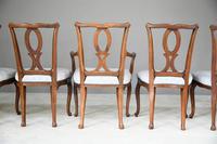 Set of 6 + 1 Continental Dining Chairs (11 of 12) Set of 6 + 1 Continental Dining Chairs (11 of 12)