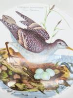 Birds of Britain Casseroles Dish by Portmeirion (2 of 8) Birds of Britain Casseroles Dish by Portmeirion (2 of 8)