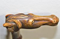 Finely Carved Horn Walking Stick of a Horses Head (5 of 7) Finely Carved Horn Walking Stick of a Horses Head (5 of 7)