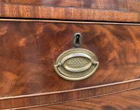 Regency Flame Mahogany Bow Front Chest of Drawers (13 of 17) Regency Flame Mahogany Bow Front Chest of Drawers (13 of 17)