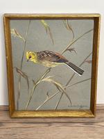 Watercolour "Yellowhammer" Passerine Bird Study By Rolston Gudgeon RSW (9 of 34) Watercolour "Yellowhammer" Passerine Bird Study By Rolston Gudgeon RSW (9 of 34)