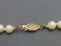 Single strand of cultured pearls (3 of 6) Single strand of cultured pearls (3 of 6)