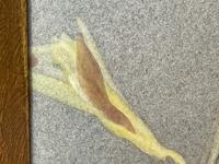 Watercolour "Yellowhammer" Passerine Bird Study By Rolston Gudgeon RSW (28 of 34) Watercolour "Yellowhammer" Passerine Bird Study By Rolston Gudgeon RSW (28 of 34)