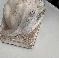 Item Additional Image