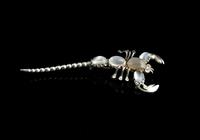 Antique Moonstone Scorpion Brooch, Sterling Silver (5 of 13) Antique Moonstone Scorpion Brooch, Sterling Silver (5 of 13)