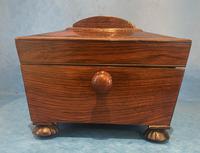 Regency Sarcophagus Rosewood Jewellery Box (8 of 15) Regency Sarcophagus Rosewood Jewellery Box (8 of 15)
