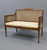 Fine 19th Century Satinwood Bergere Sofa (3 of 6) Fine 19th Century Satinwood Bergere Sofa (3 of 6)