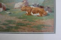 Antique Original Watercolour - Cows Resting - Charles James Adams c.1900 (8 of 9) Antique Original Watercolour - Cows Resting - Charles James Adams c.1900 (8 of 9)