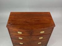 Small Georgian Mahogany Bow Front Chest of Drawers (4 of 4) Small Georgian Mahogany Bow Front Chest of Drawers (4 of 4)