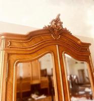 French Armoire / French Walnut Wardrobe (6 of 8) French Armoire / French Walnut Wardrobe (6 of 8)