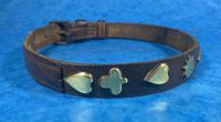 Victorian Brass Mounted Hide Dog Collar (5 of 10) Victorian Brass Mounted Hide Dog Collar (5 of 10)