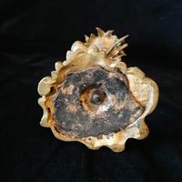 Ornate Antique Bronze & Ormolu Candlestick (6 of 6) Ornate Antique Bronze & Ormolu Candlestick (6 of 6)