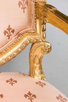Pair of Italian 19th Century Elbow Chairs (2 of 10) Pair of Italian 19th Century Elbow Chairs (2 of 10)
