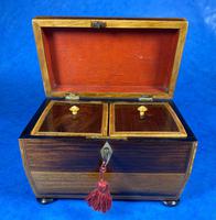 Regency Rosewood Twin Section Tea Caddy (8 of 12) Regency Rosewood Twin Section Tea Caddy (8 of 12)