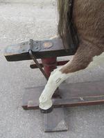 Rare 19th Century Rocking Horse (6 of 16) Rare 19th Century Rocking Horse (6 of 16)