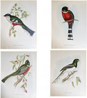 image-586727