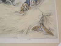 Hunting Dogs Field Spaniles G Vernon Stokes Signed Limited Edition Grouse (4 of 6) Hunting Dogs Field Spaniles G Vernon Stokes Signed Limited Edition Grouse (4 of 6)