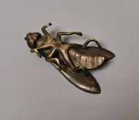 Antique Victorian Bronze Fly Sculpture (9 of 10) Antique Victorian Bronze Fly Sculpture (9 of 10)