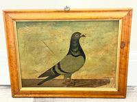 Decorative Sporting Early 20th Century Oil Canvas Painting English Racing Pigeon (30 of 35) Decorative Sporting Early 20th Century Oil Canvas Painting English Racing Pigeon (30 of 35)