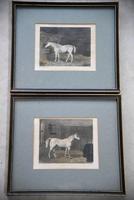Pair Antique Race Horse Engravings (3 of 11) Pair Antique Race Horse Engravings (3 of 11)