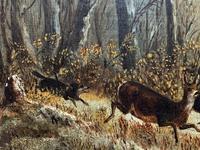 'Chasing The Deer' Beautiful 19th Century Game Hunting Moonlit Landscape Oil Painting (9 of 14) 'Chasing The Deer' Beautiful 19th Century Game Hunting Moonlit Landscape Oil Painting (9 of 14)