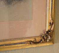 Superb Victorian 'grumpy Cat' Pastel Drawing (10 of 10) Superb Victorian 'grumpy Cat' Pastel Drawing (10 of 10)