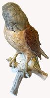 A Porcelain Falcon Eagle Hawk by Goebel of Germany (6 of 7) A Porcelain Falcon Eagle Hawk by Goebel of Germany (6 of 7)