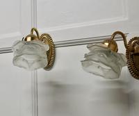 Brass Wall Light Set with Flower Shades, 1 Double and 2 Single Lights (2 of 14) Brass Wall Light Set with Flower Shades, 1 Double and 2 Single Lights (2 of 14)