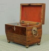 Antique Rosewood Tea Caddy (4 of 15) Antique Rosewood Tea Caddy (4 of 15)