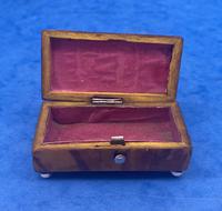 Tortoiseshell Miniature Casket (8 of 10) Tortoiseshell Miniature Casket (8 of 10)