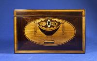 18th Century Kingwood Twin Tea Caddy With Inlay (2 of 16) 18th Century Kingwood Twin Tea Caddy With Inlay (2 of 16)