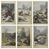 6 Framed Animal Coloured Pictures Plates C1877 Sketches From Nature - N Europe & Lapland (10 of 11) 6 Framed Animal Coloured Pictures Plates C1877 Sketches From Nature - N Europe & Lapland (10 of 11)