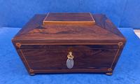 William IV Rosewood Box with Boxwood Inlay (4 of 10) William IV Rosewood Box with Boxwood Inlay (4 of 10)