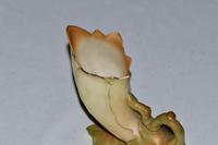 1909 Royal Worcester Edwardian Lily Bud Vase, Shape No 891 (4 of 6) 1909 Royal Worcester Edwardian Lily Bud Vase, Shape No 891 (4 of 6)